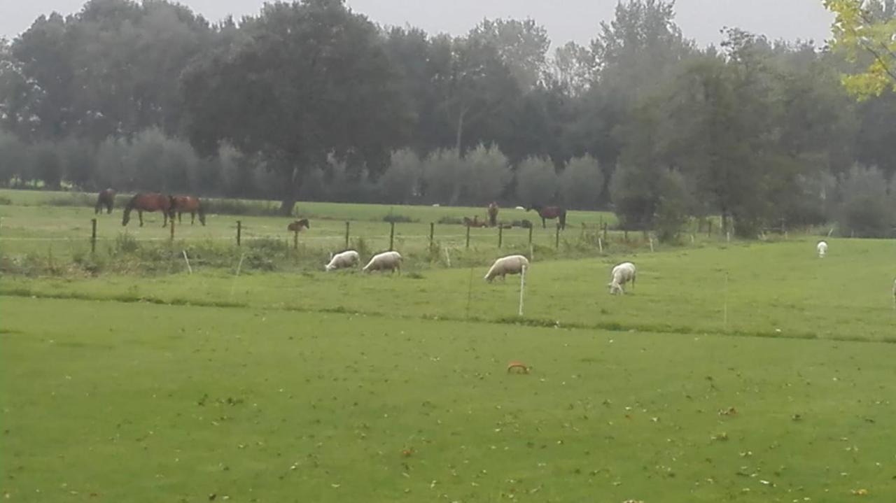 De Weije Wereld Sint-Oedenrode Exterior foto